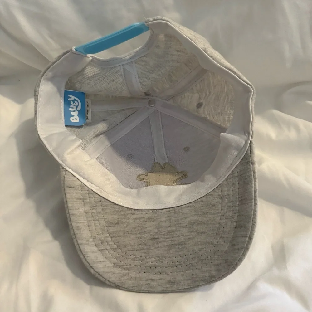 NWOT Bluey Snapback Cap